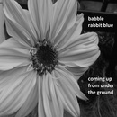 babble rabbit blue - coming up from under the ground