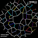 Kinetic Groove - Jose Vizcaino - Vicious Vision