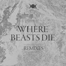 :PAPERCUTZ - "Where Beasts Die" Single / Rmxs