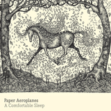A Comfortable Sleep (Paper Aeroplanes)