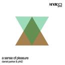 Kinetic Groove - Daniel Parker and Phil2 - A Sense of Pleasure