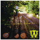 Woodman Stone - Someone Else's Dreams Will Fill Our Home