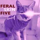 FERAL FIVE - SKIN EP (Feral Five)