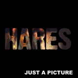 Just A Picture (Hares)