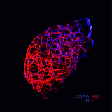 Compilation Album (Various Artists I)