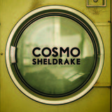 The Moss (Cosmo Sheldrake)