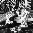 Postcode - Zebratronic
