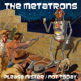 The Metatrons - The Metatrons: Please Mister / Not Today - double A side 7 inch