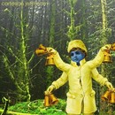 Cartesian Jetstream - More Songs About Lizards And Fairies
