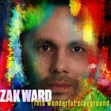 This Wonderful Playground (Zak Ward)