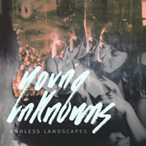 Endless Landscapes (Young Unknowns )