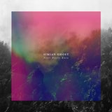 Never Really Knew (Simian Ghost)