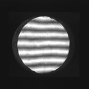 Yellow Creatures - The Year of Everything & Nothing EP