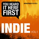 You Heard It Here First - You Heard It Here First - Indie, Vol. 1