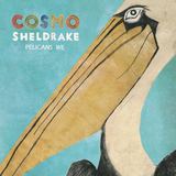Pelicans We (Cosmo Sheldrake)