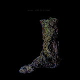 Life Is A Fear (Editors)