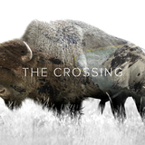 The Crossing (Golden Fable)