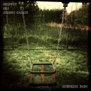 Snippet - Surprise Baby