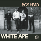 Pig's Head (White Ape)