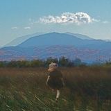 Kennesaw EP (mAsis)