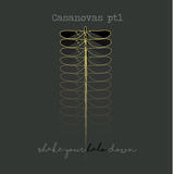 Casanovas Part 1 (Shake Your Halo Down)