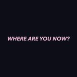 Where Are You Now? (Fabric Bear)