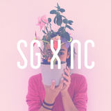 SG X NC (Sun Glitters)