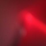 Meat Wave - The Incessant