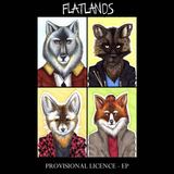 Provisional Licence (Flatlands)
