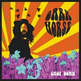 Shot Down (Dark Horse)