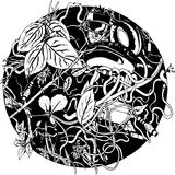 Pangea (Speakman Sound)