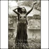 nachtgesang (Fabio Keiner)