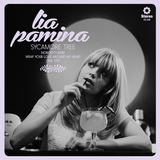 Sycamore Tree (Lia Pamina)