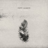 Birds (Poppy Ackroyd)