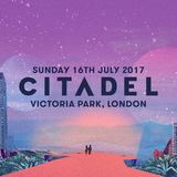 Citadel Festival 2017 (Chris Murray)