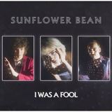 I Was A Fool (Sunflower Bean)