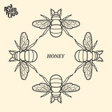 Honey (Red Rum Club)