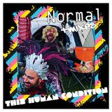 Normal (Time In Antarctica Remix) (This Human Condition)