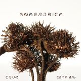 Anaerobica (Csum)