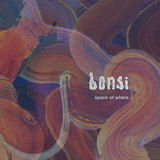 Space of Where (bonsi)