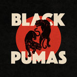 Colors (Black Pumas)