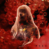 Hiding Under Things (MSEA)