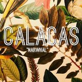 Narwhal (Calacas)