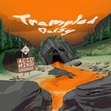 Acid Mind Drainage (Trampled Daisy)