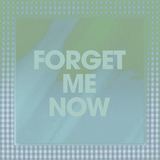 Forget Me Now (Poliça)