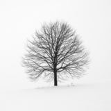 Overheard (Denney)