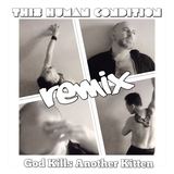 God Kills Another Kitten (Remixes) (This Human Condition)