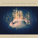 Nic Evennett - Waiting For The Leaves