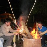 We Are The Creatures (Wild Combination)