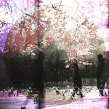 Bicycle Theme (Simian Ghost)